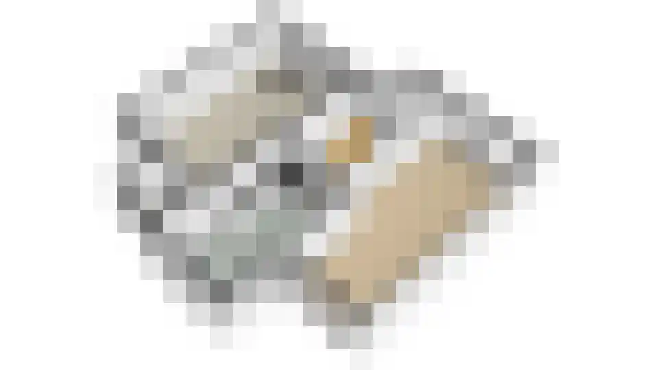 Oude Beekseweg 58 A Didam thumbnail 36