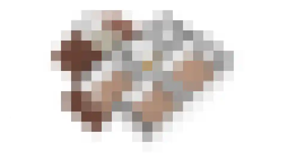 Oude Beekseweg 58 A Didam thumbnail 38