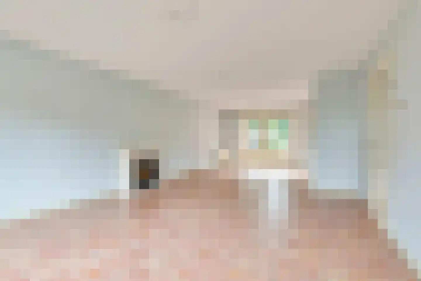Oude Beekseweg 58 A Didam thumbnail 4