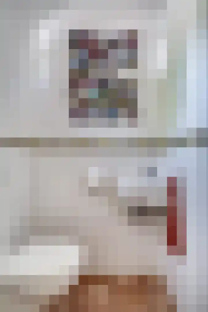 Oude Beekseweg 60 Didam thumbnail 12
