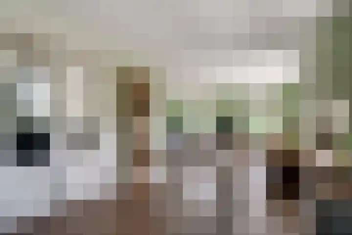 Oude Beekseweg 60 Didam thumbnail 13