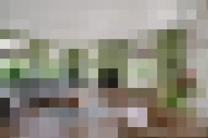 Oude Beekseweg 60 Didam thumbnail 14