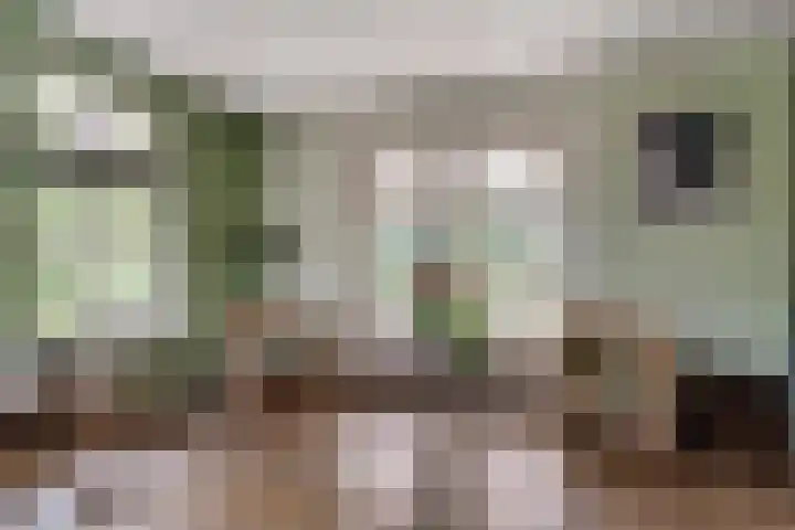 Oude Beekseweg 60 Didam thumbnail 17