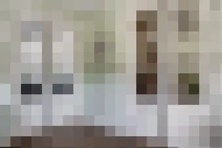 Oude Beekseweg 60 Didam thumbnail 19