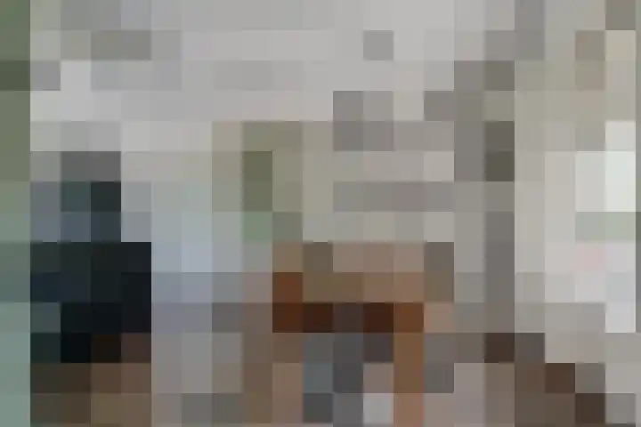 Oude Beekseweg 60 Didam thumbnail 20