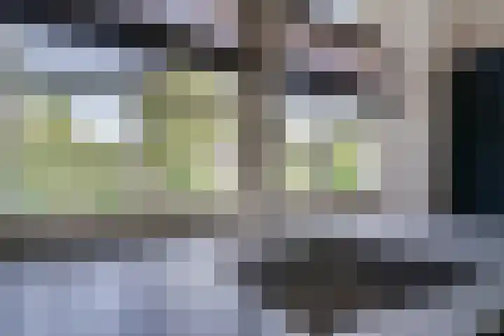 Oude Beekseweg 60 Didam thumbnail 25