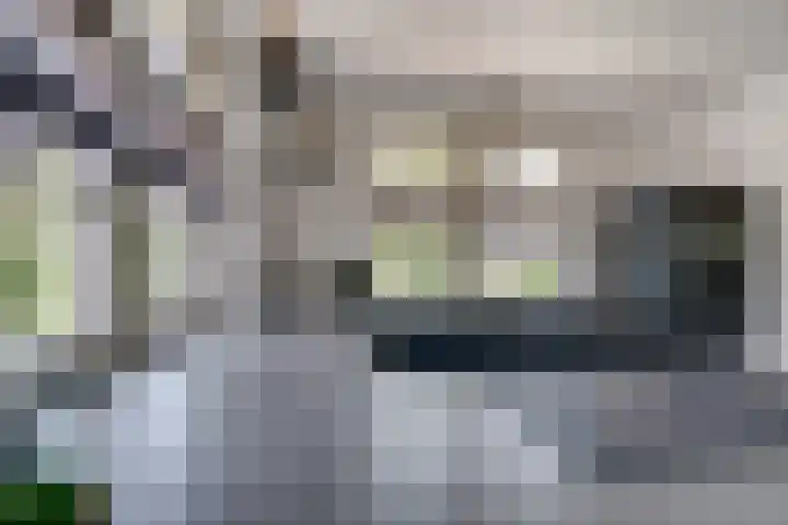 Oude Beekseweg 60 Didam thumbnail 26