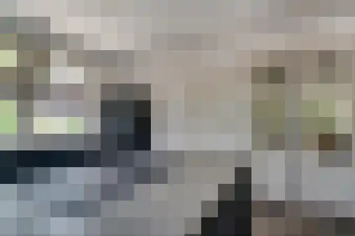 Oude Beekseweg 60 Didam thumbnail 27