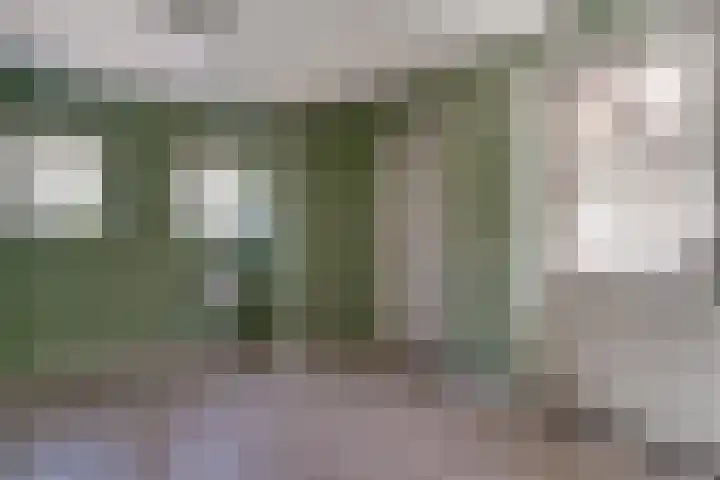 Oude Beekseweg 60 Didam thumbnail 30