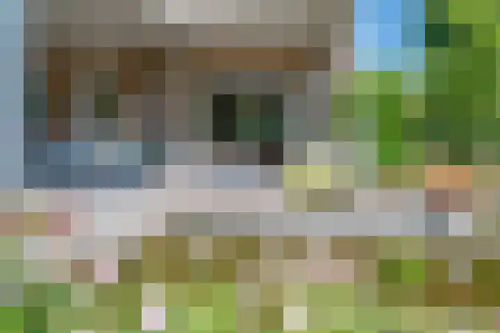 Oude Beekseweg 60 Didam thumbnail 35