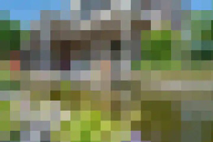 Oude Beekseweg 60 Didam thumbnail 36