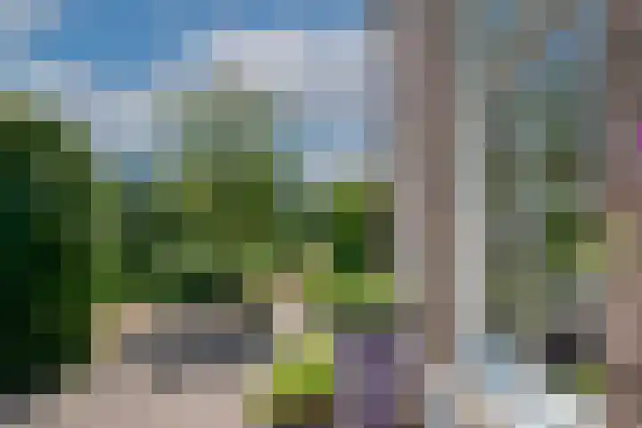 Oude Beekseweg 60 Didam thumbnail 39