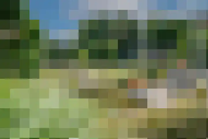 Oude Beekseweg 60 Didam thumbnail 41