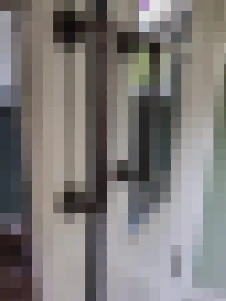 Oude Beekseweg 60 Didam thumbnail 46