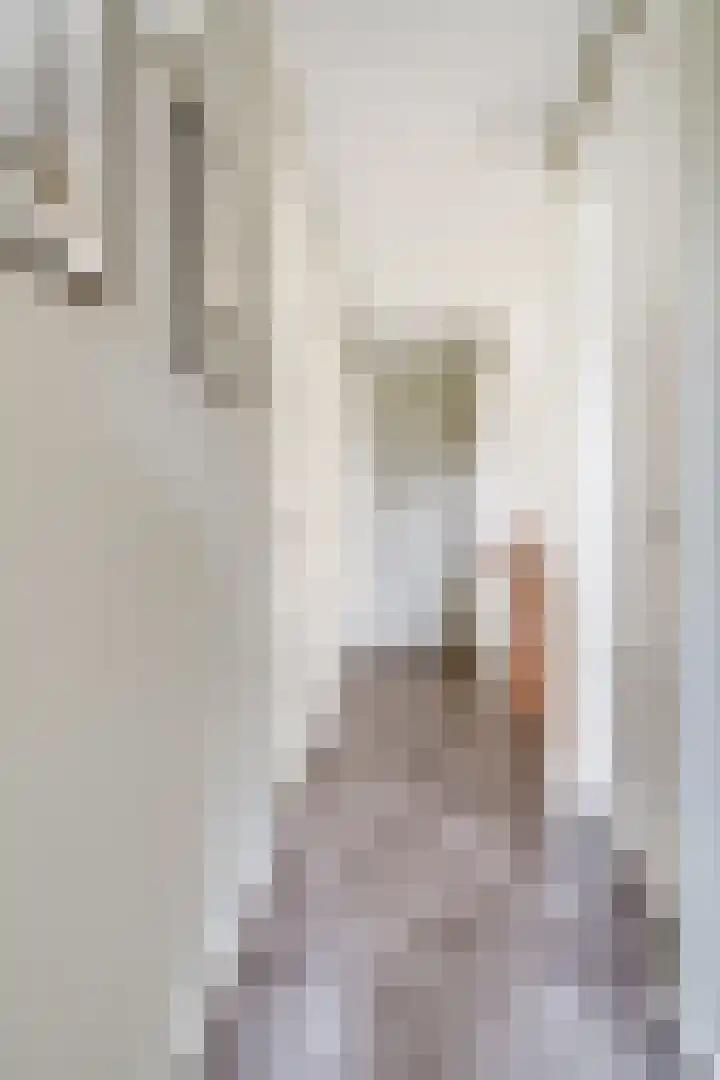 Oude Beekseweg 60 Didam thumbnail 48