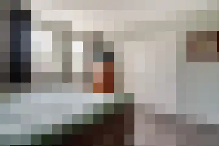 Oude Beekseweg 60 Didam thumbnail 52