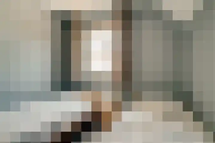 Oude Beekseweg 60 Didam thumbnail 61