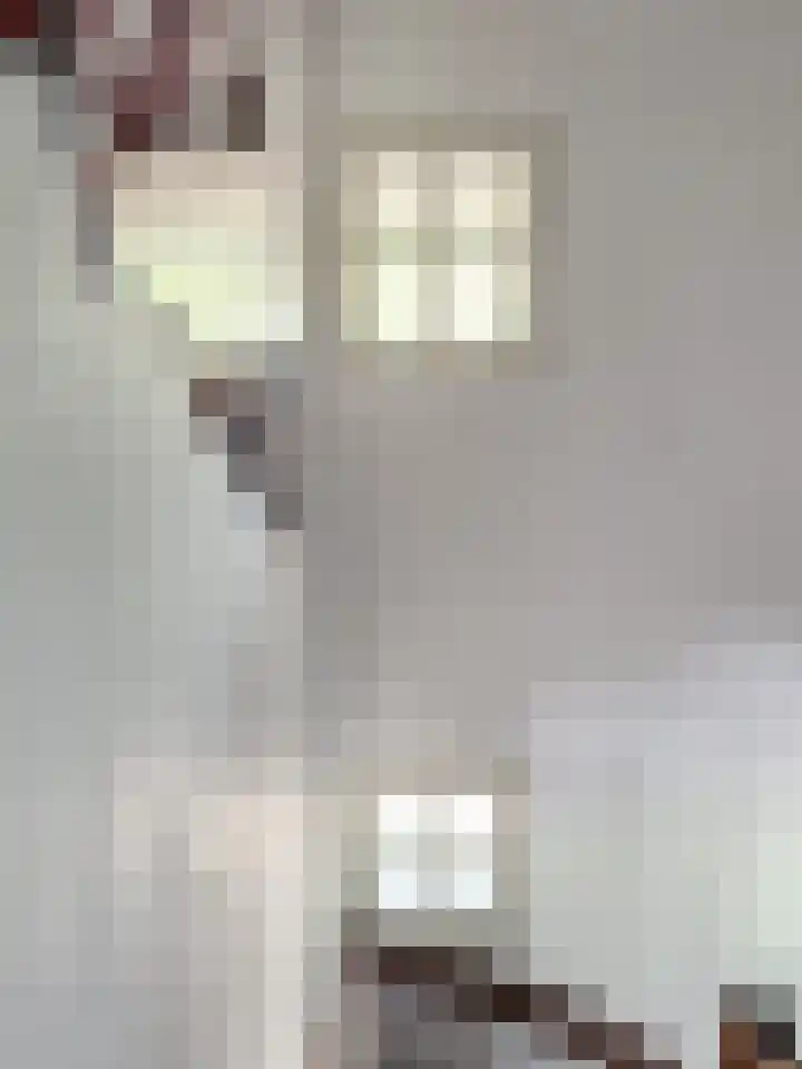 Oude Beekseweg 60 Didam thumbnail 63