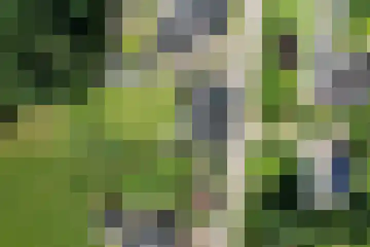 Oude Beekseweg 60 Didam thumbnail 66