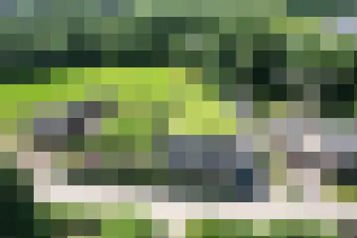 Oude Beekseweg 60 Didam thumbnail 67