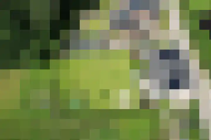 Oude Beekseweg 60 Didam thumbnail 68