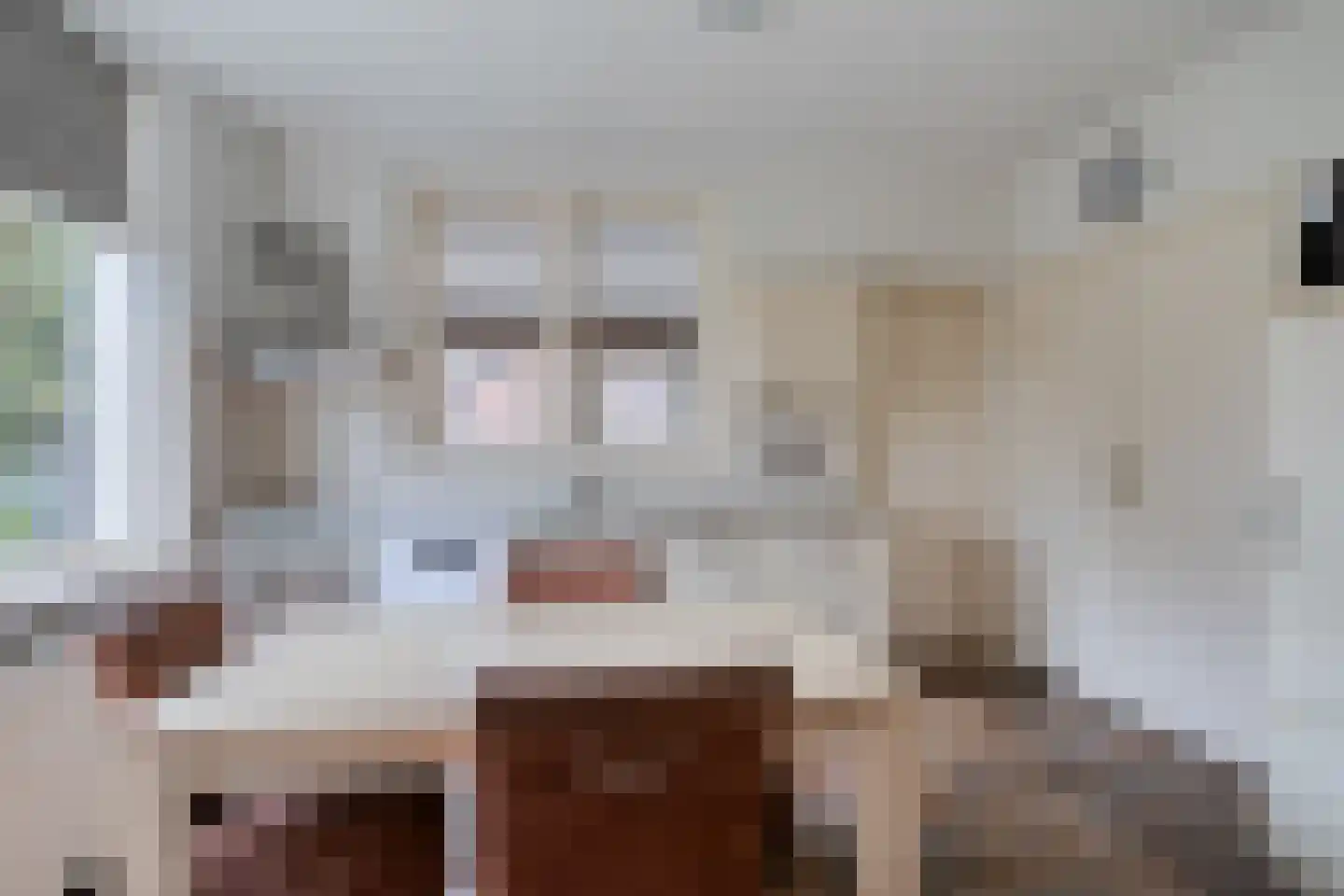 Oude Beemdseweg 2 Heeswijk-Dinther thumbnail 12