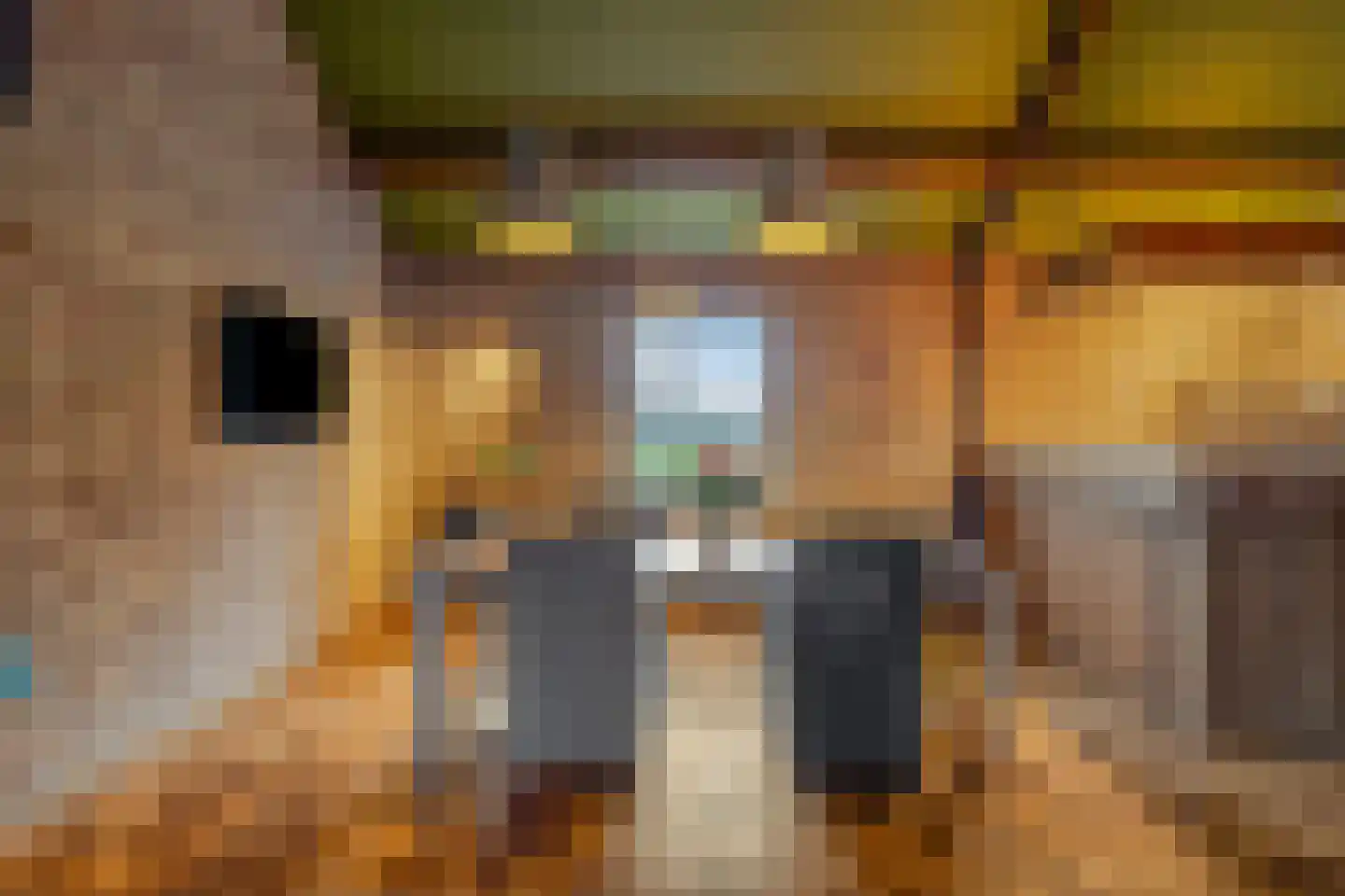 Oude Beemdseweg 2 Heeswijk-Dinther thumbnail 35