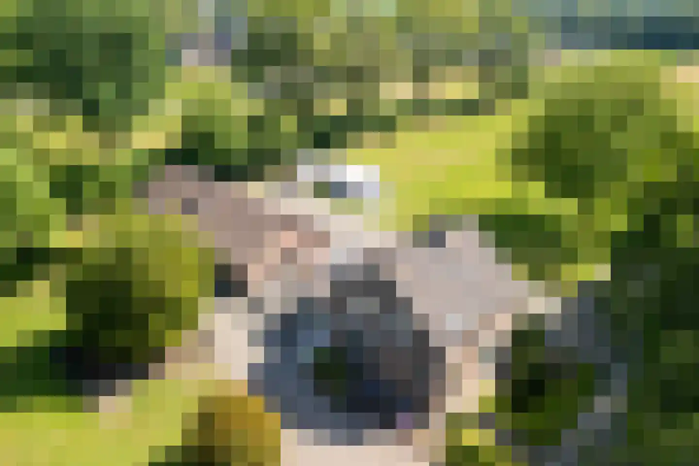 Oude Beemdseweg 2 Heeswijk-Dinther thumbnail 38