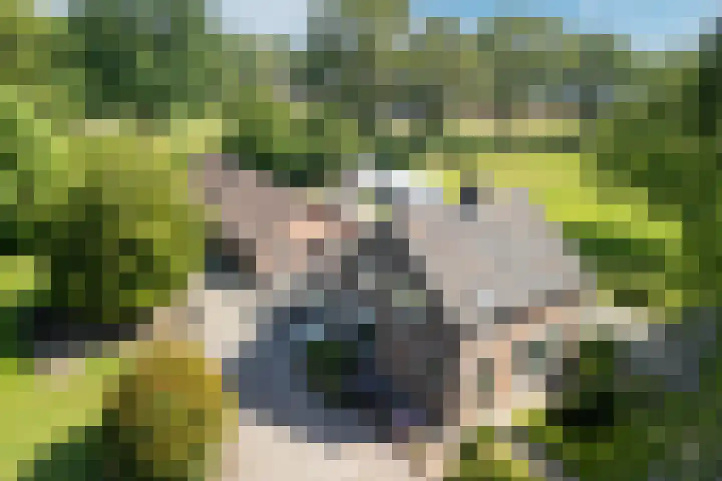 Oude Beemdseweg 2 Heeswijk-Dinther thumbnail 39