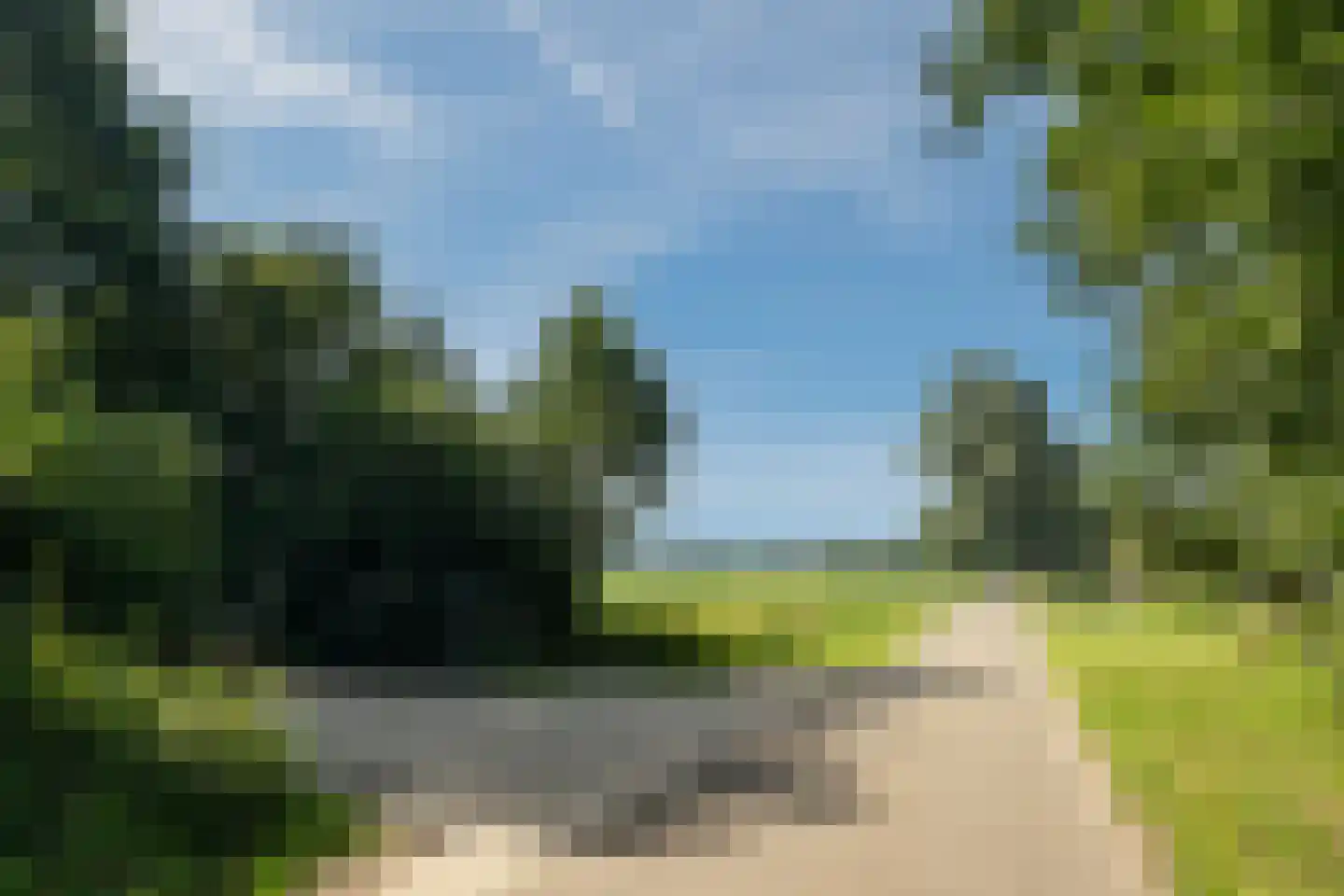 Oude Beemdseweg 2 Heeswijk-Dinther thumbnail 40