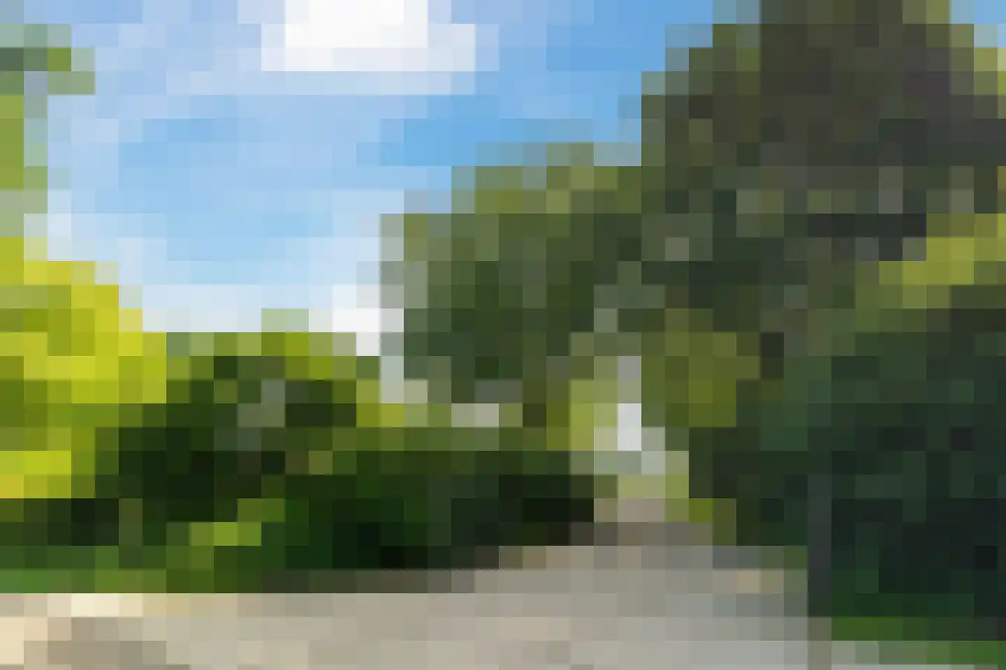 Oude Beemdseweg 2 Heeswijk-Dinther thumbnail 41
