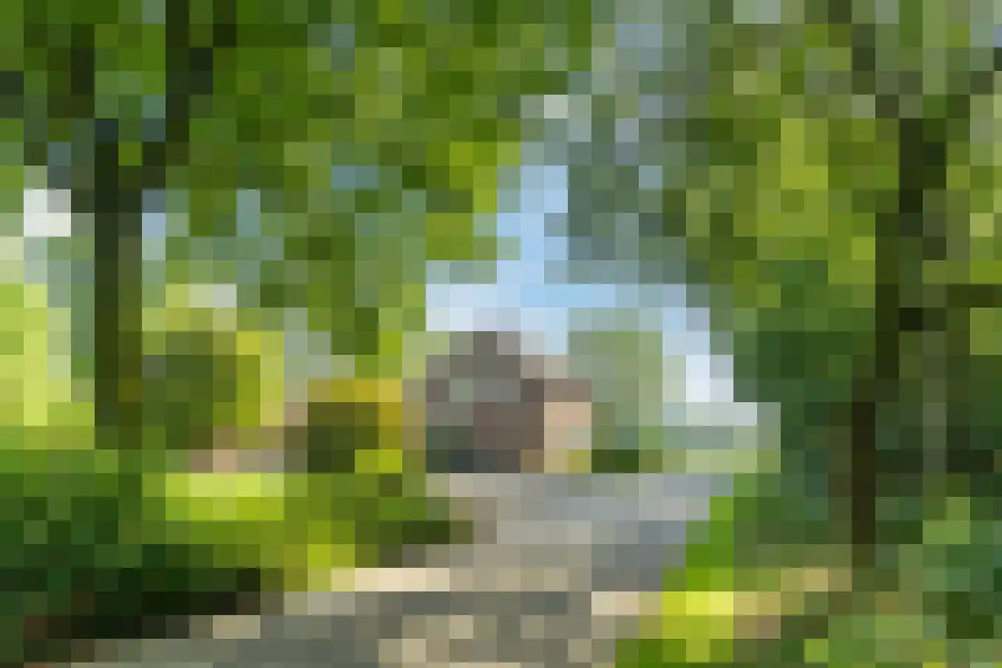 Oude Beemdseweg 2 Heeswijk-Dinther thumbnail 42