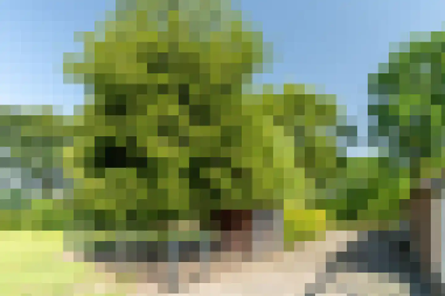 Oude Beemdseweg 2 Heeswijk-Dinther thumbnail 48