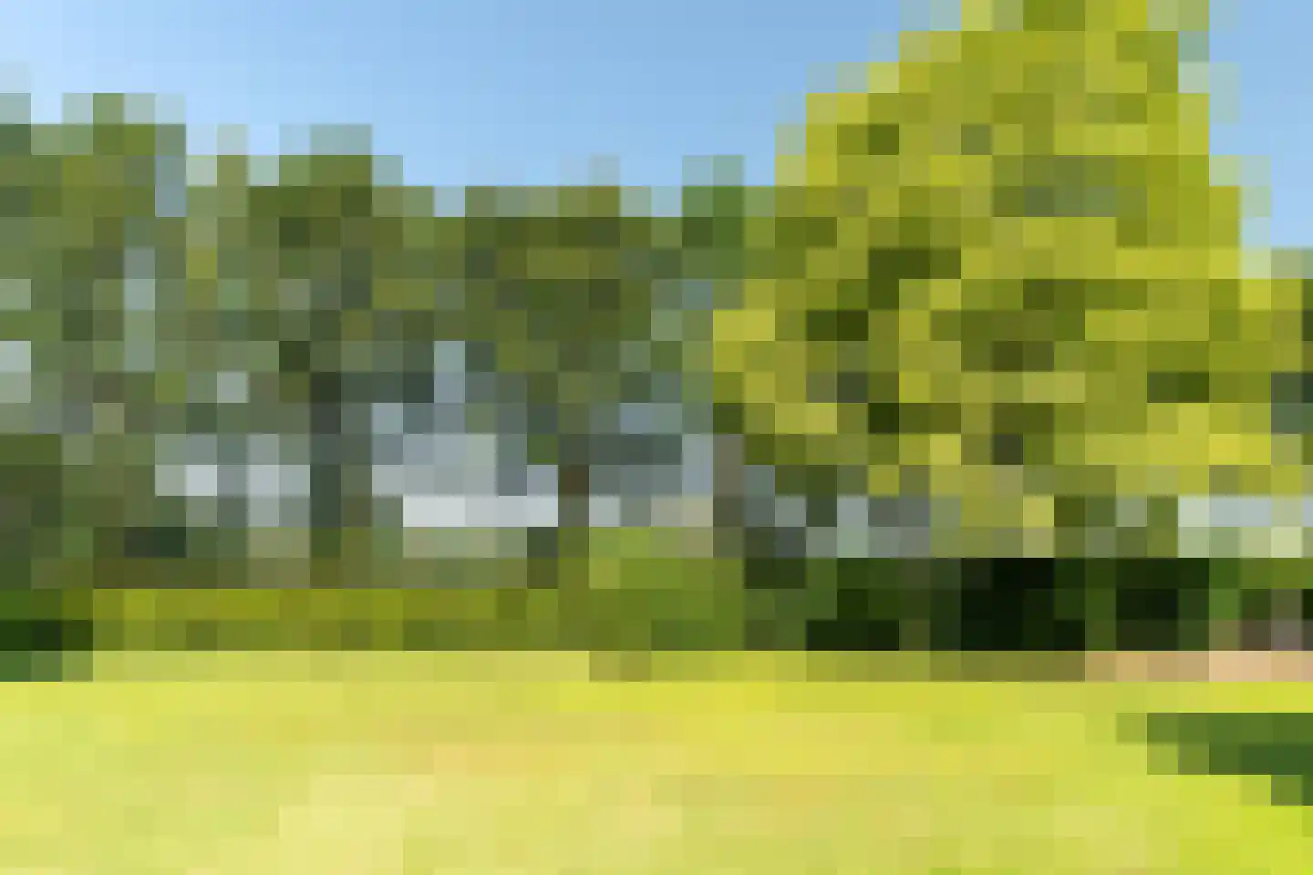 Oude Beemdseweg 2 Heeswijk-Dinther thumbnail 49