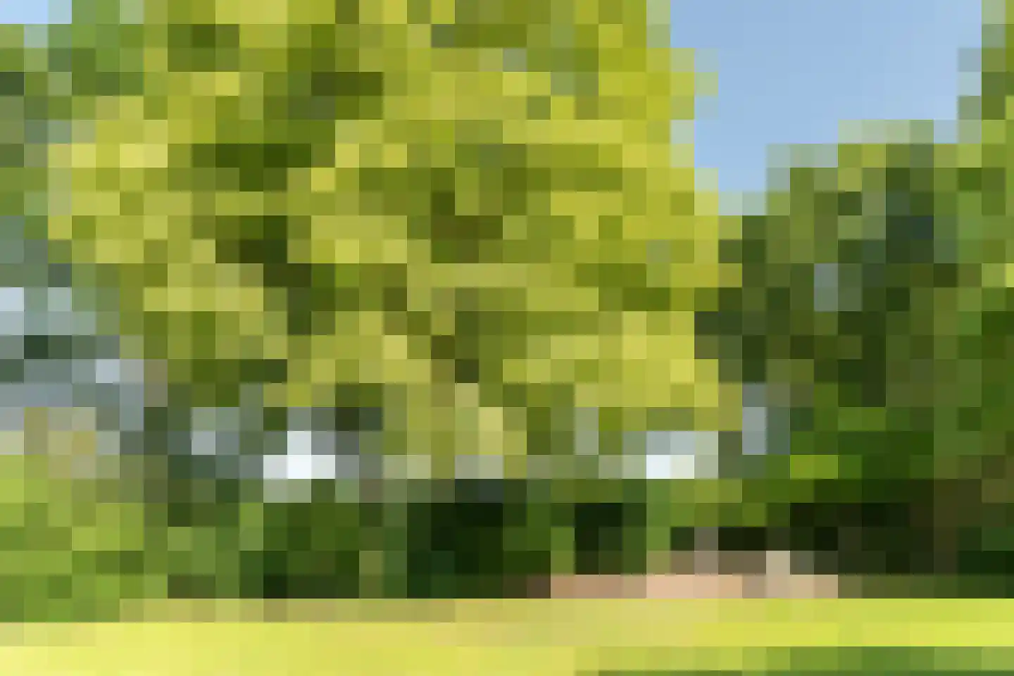 Oude Beemdseweg 2 Heeswijk-Dinther thumbnail 50