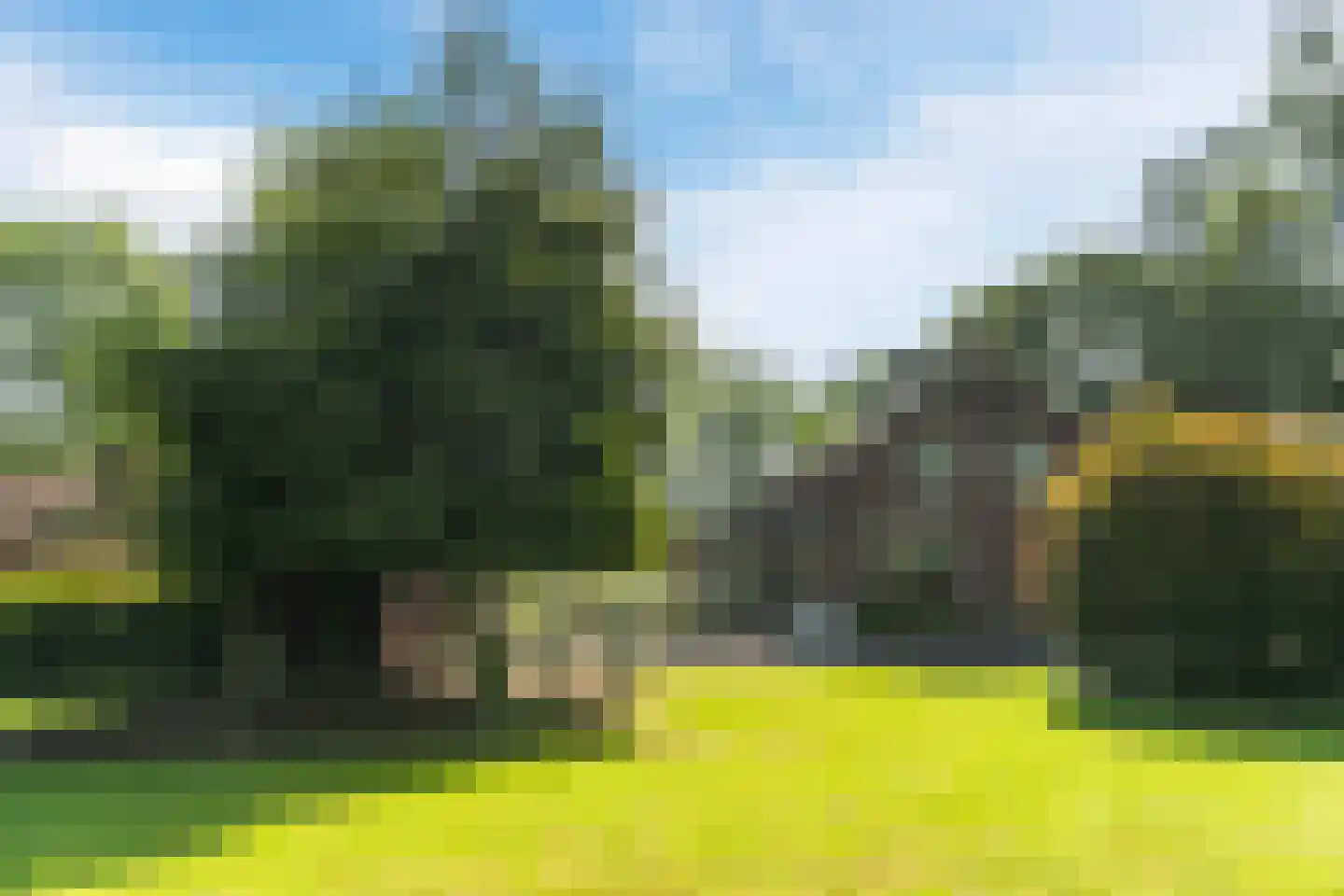 Oude Beemdseweg 2 Heeswijk-Dinther thumbnail 51