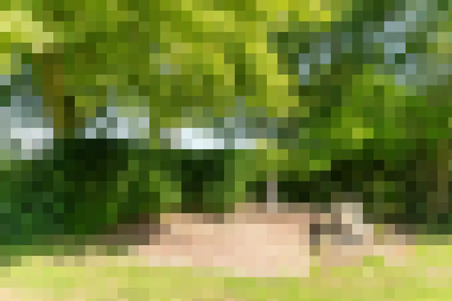 Oude Beemdseweg 2 Heeswijk-Dinther thumbnail 52