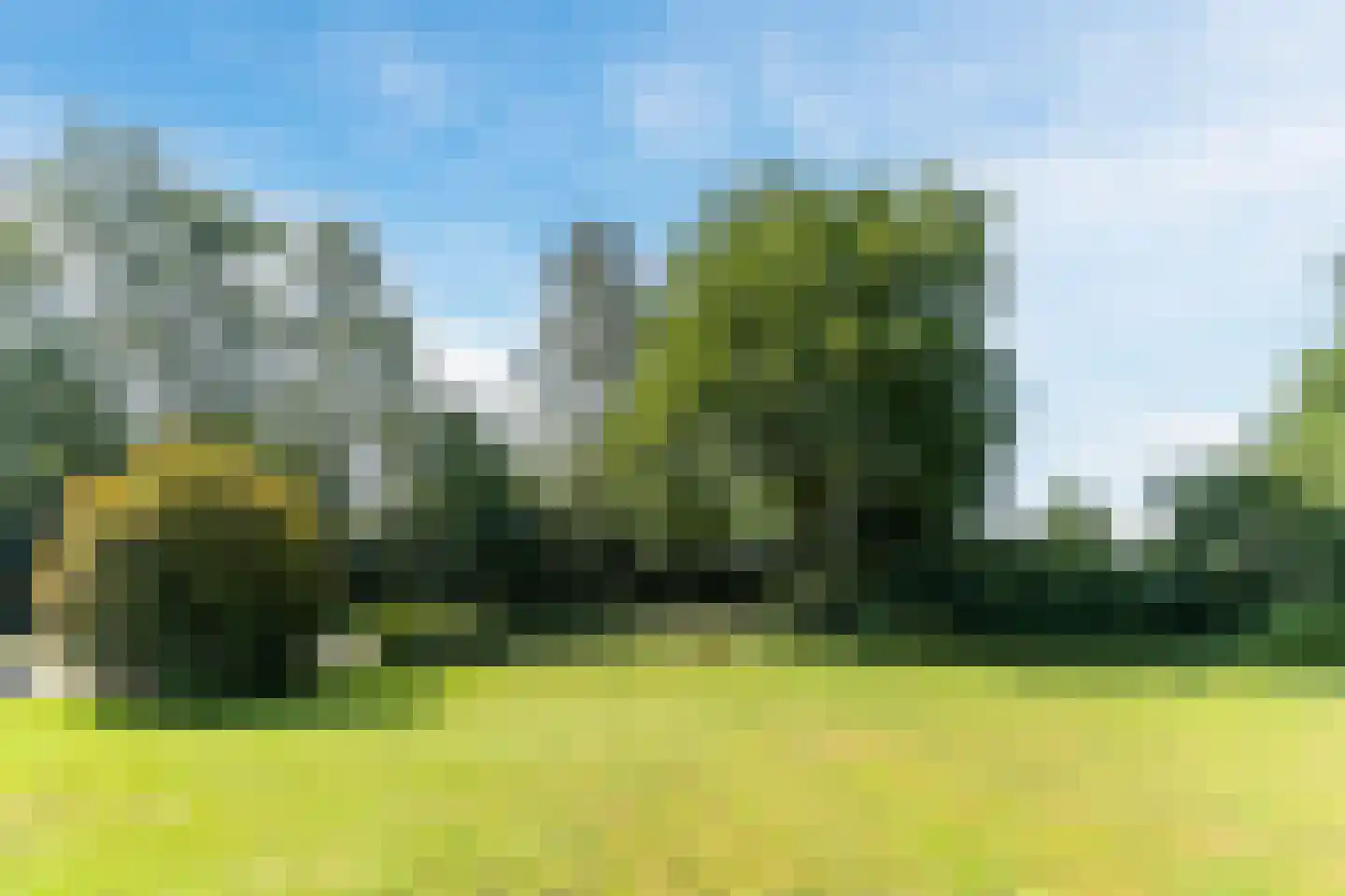 Oude Beemdseweg 2 Heeswijk-Dinther thumbnail 53