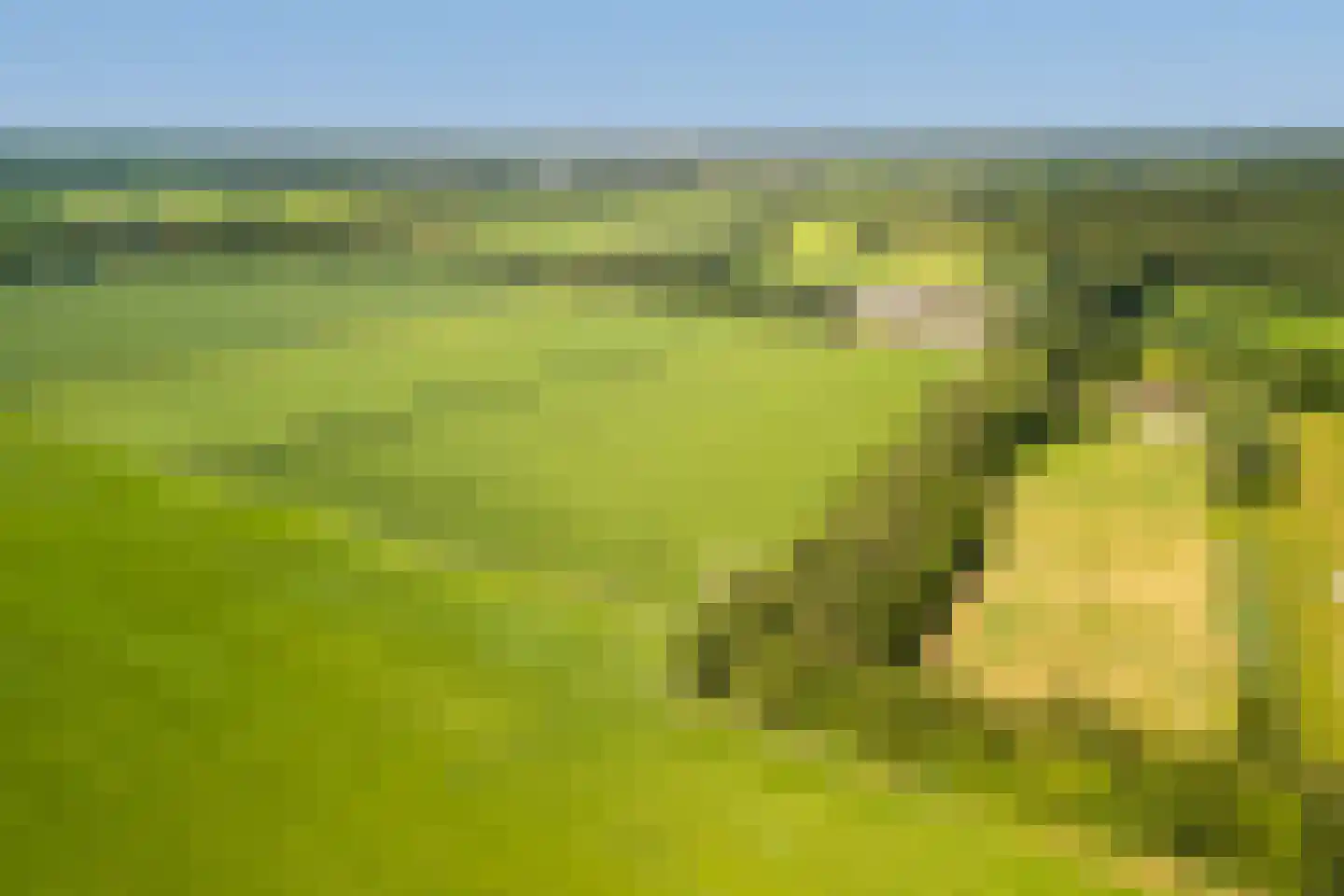 Oude Beemdseweg 2 Heeswijk-Dinther thumbnail 56