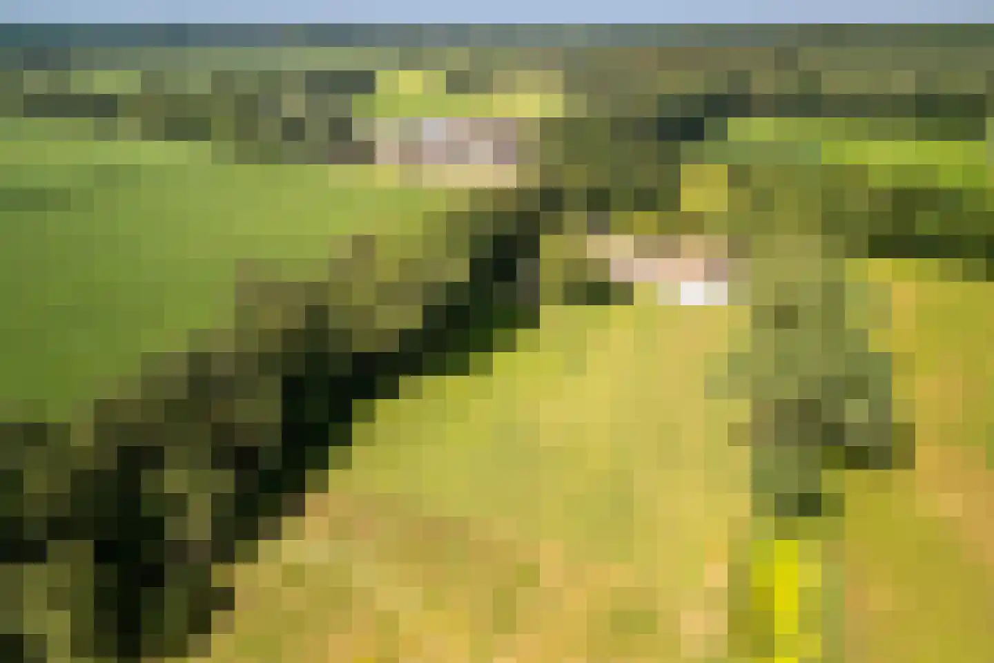 Oude Beemdseweg 2 Heeswijk-Dinther thumbnail 58