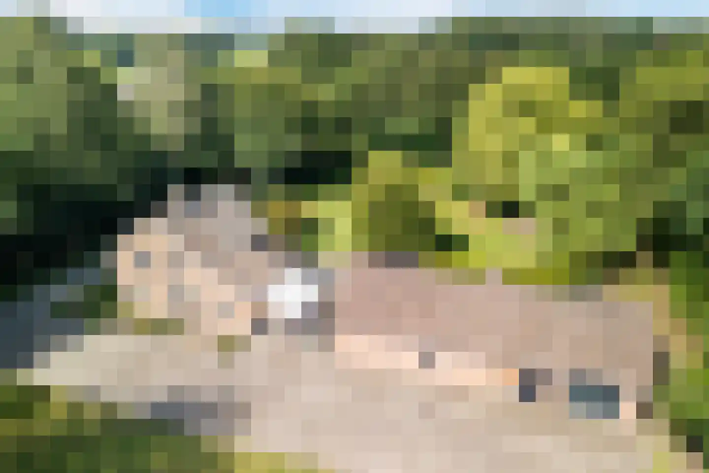 Oude Beemdseweg 2 Heeswijk-Dinther thumbnail 59