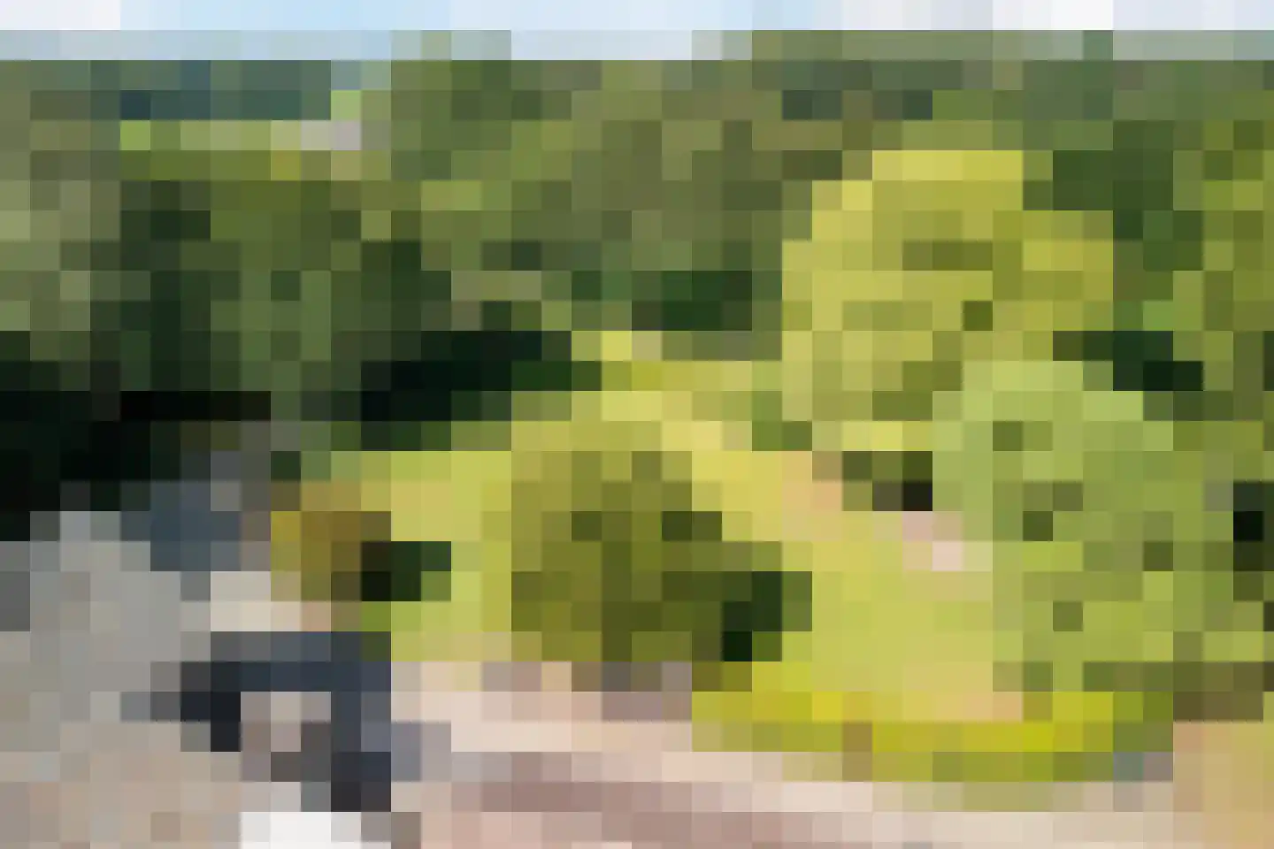 Oude Beemdseweg 2 Heeswijk-Dinther thumbnail 60