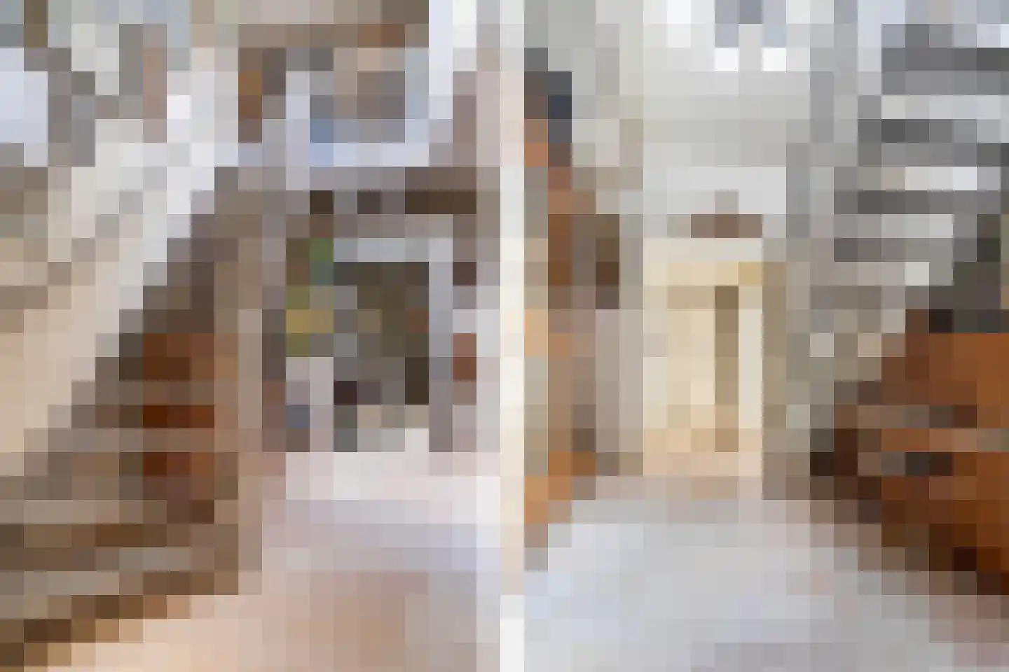 Oude Beilerweg 5 Westerbork thumbnail 26