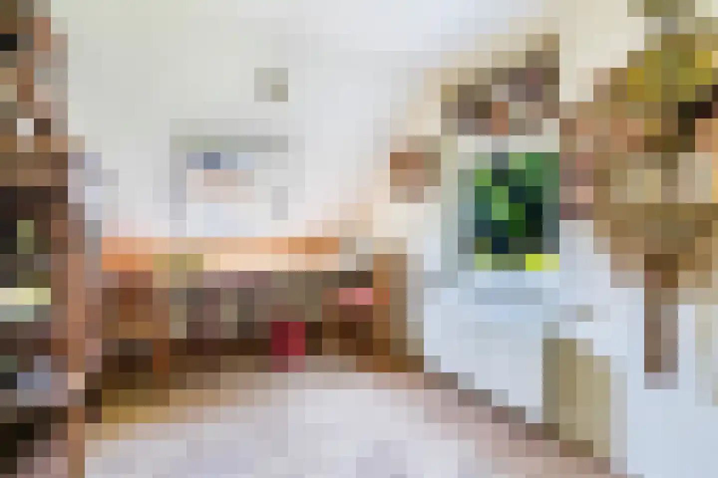 Oude Beilerweg 5 Westerbork thumbnail 31