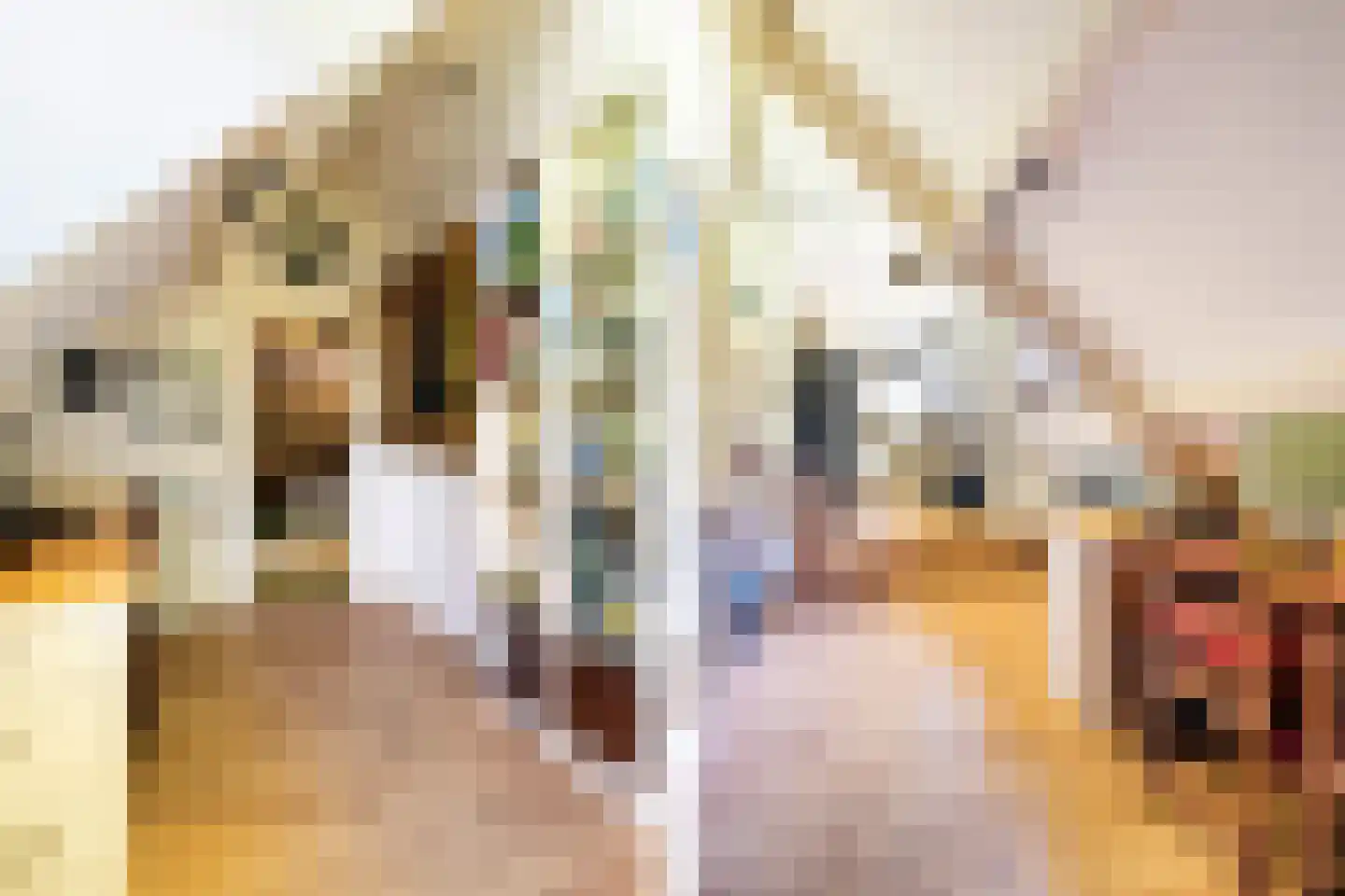 Oude Beilerweg 5 Westerbork thumbnail 35