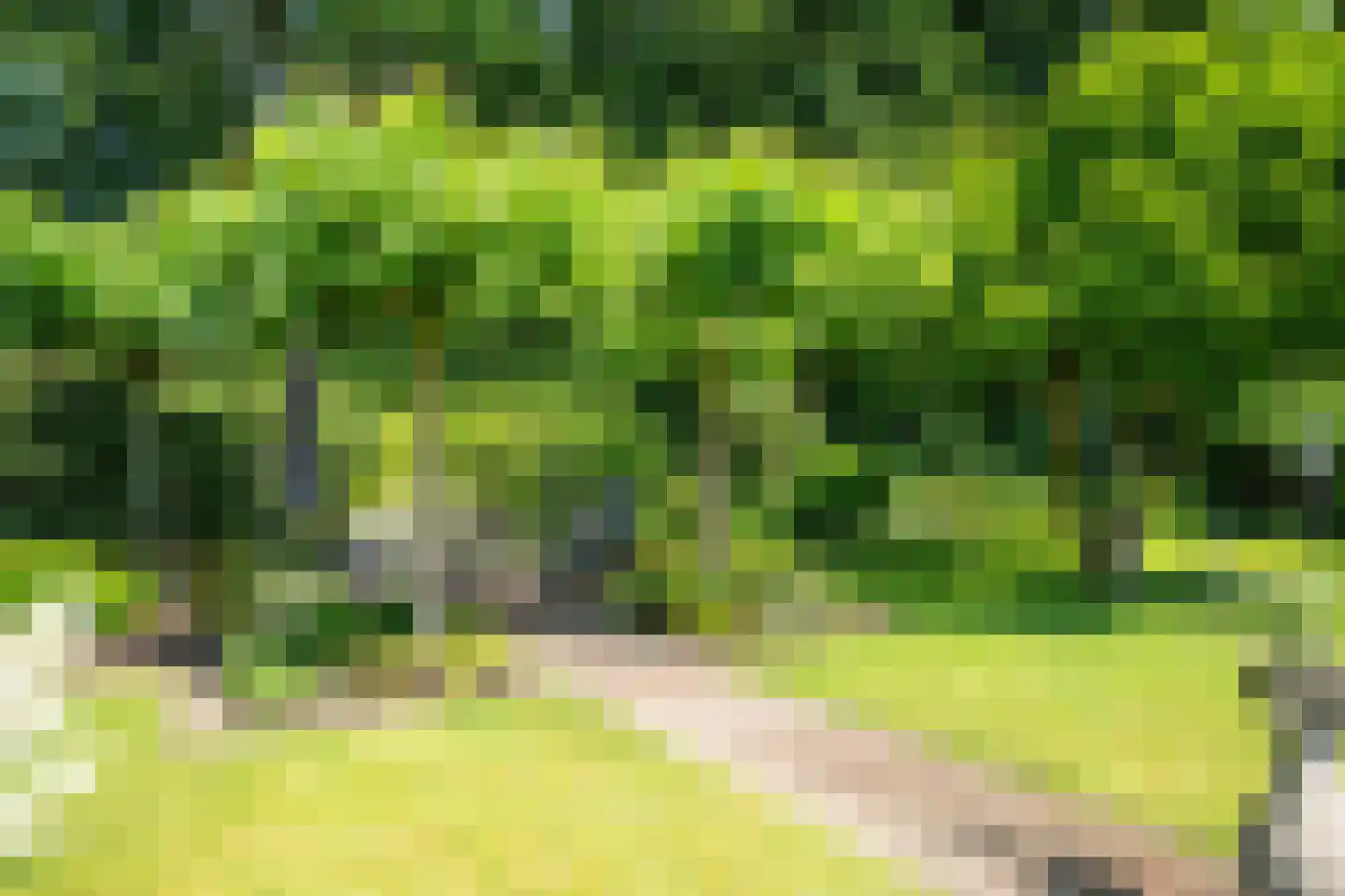 Oude Beilerweg 5 Westerbork thumbnail 41