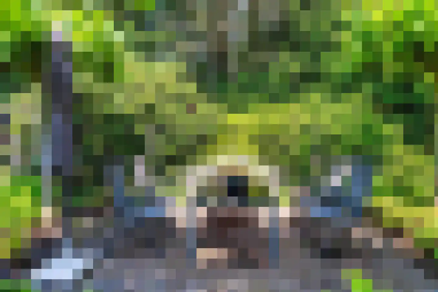Oude Beilerweg 5 Westerbork thumbnail 42