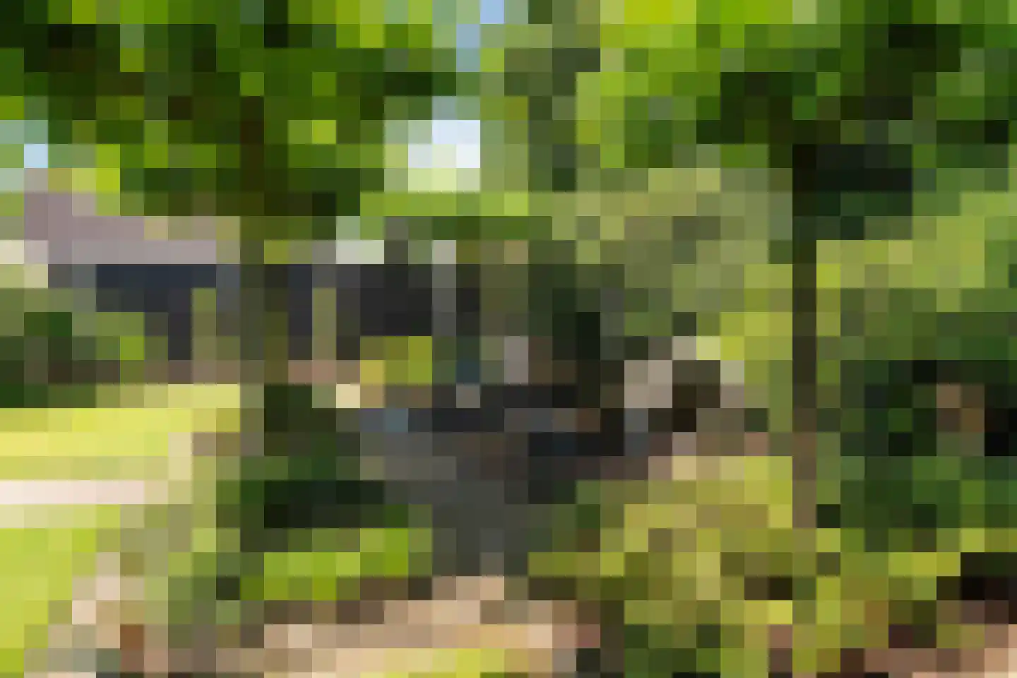 Oude Beilerweg 5 Westerbork thumbnail 49
