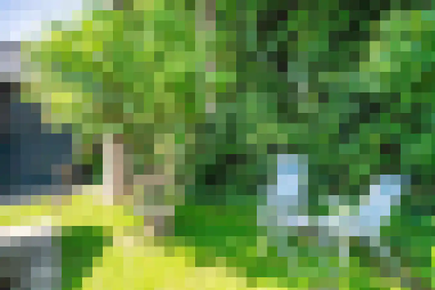 Oude Beilerweg 5 Westerbork thumbnail 54