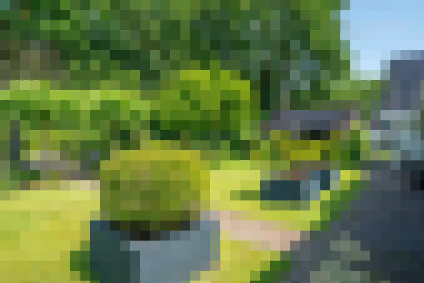 Oude Beilerweg 5 Westerbork thumbnail 56